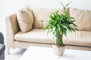 How to Create Sustainable Spaces with Eco-Friendly Home Decor